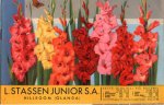  - L. Stassen junior S. A. Hillegom.