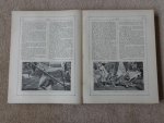 div. auteurs - Indië, geïllustreerd weekblad voor Nederland en koloniën. 3de jaargang, April 1919 - April 1920.