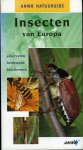 HOFMANN, H. - Insecten van Europa. Opzoeken - herkennen - beschermen