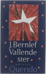 J. Bernlef - Vallende ster