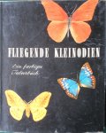  - Fliegende Kleinodien. ein Farbiges Falterbuch