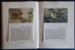 Wigman, A.B. - DE HOGE VELUWE (delen 1, 2 en 3) - zakalbums met ingeplakte plaatjes (aquarellen van R. Stuurman) - COMPLEET