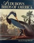 Dock, George. - Audubon's Birds of America.