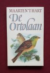hart, maarten 't - ortolaan, de