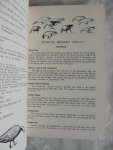 Boyd, Hugh illust. P.Scott - The Thirteenth Annual Report of The Wildfowl Trust 1960 - 1961