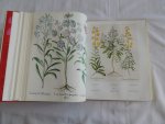 Besler, Basilius - The Book of Plants. The Complete Plates.