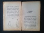 Dorise - Le Livre de Madame, Manuel de la Femme elegante