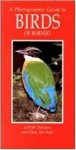 Davison, G.W.H.; Fook, Chew Yen - A Photographic Guide to the Birds of Borneo.
