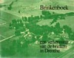 Werkgroep Brinken (Houting , De Poel , Van der Vaa - BRINKENBOEK - Een verkenning van de brinken in Drenthe
