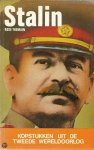 Rose Tremain, D.L. Uyt den Bogaard - Stalin