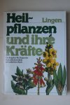 Dr. W.A. Thomson ; Schadewaldt, Dr. Hans; e.a. - Ein Ratgeber fur Fragen der Gesundheitsmedizin auf naturlicher Basis  Heilpflanzen Und Ihre Krafte