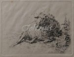 JARDIN, KAREL DU, - Resting sheep