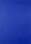 WEITEMEIER Hannah - Yves Klein 1928-1962 International Klein Blue