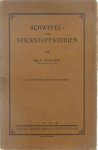 Raschig F. - Schwefel- und Stickstoffstudien