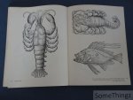 Konrad Gesner. - Curious Woodcuts of Fanciful and Real Beasts: A Selection of 190 Sixteenth-Century Woodcuts from Gesner's and Topsell's Natural Histories.