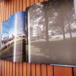 Hofland, H.J.A. - Magisch Flevoland