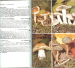 Svrcek,mirko Ubertragen von Peter Zieschang und Silke Gester mit federzeichnungen von Bohumil Vancura - Der Grosse Pilzfuhrer .. Die Pilze Mitteleuropas in 451 farbfoto's
