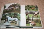 Grzimek, Bernhard; vertaling G.Th. Ebbers - Paarden; met 113 kleurenfoto's en 33 zwartwit afbeeldingen