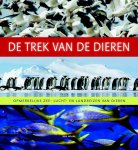 Ben Hoare - De trek van de dieren opmerkelijke zee-, lucht- en Landreizen van dieren