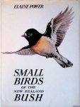 Power, Elaine - Small Birds of the New Zealand Bush