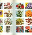 HERWIG - GROOT BLOEMEN- EN PLANTENBOEK * deel 1 kamerplanten * deel 2 tuin