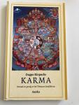 Rinpoche, Dagpo - Karma / oorzaak en gevolg in het Tibetaans boeddhisme