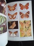Migdoll, Ivor - Field Guide to the Butterflies of Southern Africa
