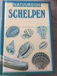 Delphi - Natuurgids schelpen / druk 1