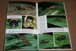 Sandhall & Andersson - Vliegen en muggen  -- Natuurgids met 158 kleurenfoto's
