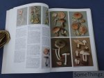 Roger Phillips, / Jasper Daams (vert.) - Paddestoelen van West-Europa meer dan 900 soorten in unieke kleurenfoto?s. [Paddenstoelen]