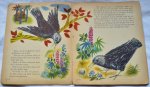 verteld door Duif / illustraties van Ali Evers - De Koningshoed, verteld door Duif/Illustraties van Ali Evers