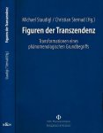 Staudigl, Michael & Christiaan Sternad. - Figuren der Transzendenz: Transformationen eines phänomenologischen Grundbegriffs.