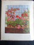 Laren, A.J.van - Verkadealbum Kamerplanten