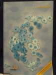 Coene, E.H. / Kollaard, S. - Hoofdpijn / zorgboek