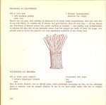 Born, Wina en  Illustrator	Robert Nix - Het groot kaas boek  .. Kaas van A tot Z