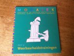 Steenbergen, Berendineke - Mozaïek deel 4 Weerbaarheidstrainingen Steenbergen, Berendineke - Mozaïek deel 4 Weerbaarheidstrainingen