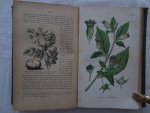 Bos, H. - Leerboek der plantkunde.