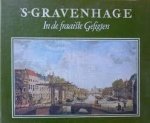 Braasem, W.A. - 's-Gravenhage in de fraaiste gesigten;