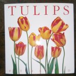 Arnold, Peter - Tulips Arnold, Peter - Tulips