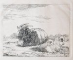 Os, Pieter Gerardus van (1776-1839) - Etching/Ets: A goat and her pup resting on a meadow (Een geit en haar baby rusten in de wei).