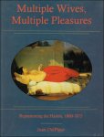 Joan Delplato - Multiple Wives, Multiple Pleasures : Representing the Harem, 1800-1875