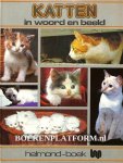 Stibbe-Lieneman, A.J. - Katten in woord en beeld