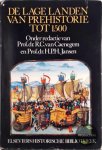 R.C. van Caenegem - De Lage Landen van Prehistorie tot 1500