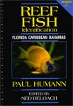 Humann , Paul .& Edited by Ned Deloach .  [ isbn 9781878348074 ] - Reef Fish Identification . ( Floorida - Caribbean - Bahamas . )  The standard fish ID reference for underwater naturalists and marine scientists since 1989 just got better! This enlarged 3rd edition has grown by 20 percent including the addition of-