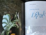 Nissen, P. - Draken - beesten van verbeelding Nissen, P. - Draken - beesten van verbeelding