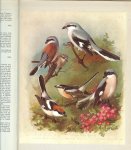 Fisher, James met meer dan 80 mooie fotos - Thorburn's birds