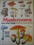 Rinaldi & Tyndalo - MUSHROOMS AND OTHER FUNGI - An illustrated Guide
