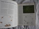 Greenhalgh, Malcolm - Jaworowski, Ed - Compleet handboek Vliegvissen. Technieken - vaardigheden - vissoorten ....