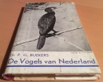 Buekers, Dr. P.G. - De Vogels van Nederland