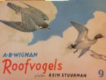 A. B. Wigman , Rein Stuurman - Plaatjesalbum ROOFVOGELS , compleet nieuwstaat